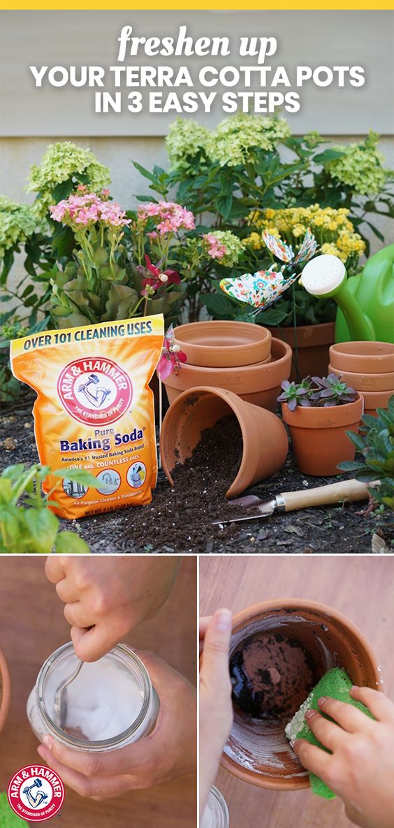 Freshen Up Your Terra Cotta Pots